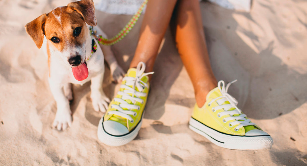 Sneakers per donna Lippolis Scarpe