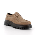 Stringate Igi&Co 21630 donna taupe