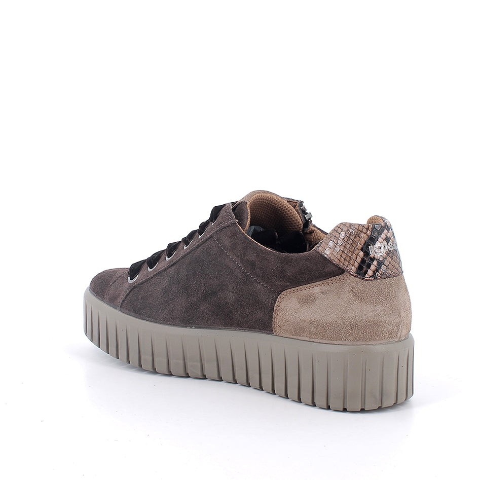 Sneakers Igi&Co 21686 donna testa di moro