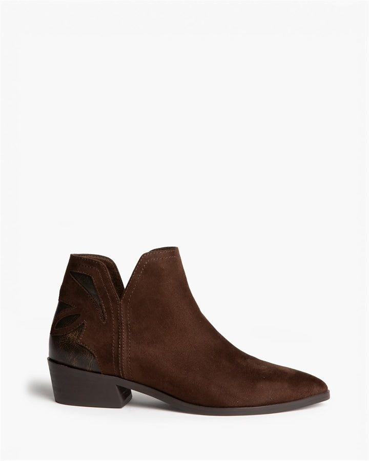 Texani Corina M6741 donna Testa Di Moro